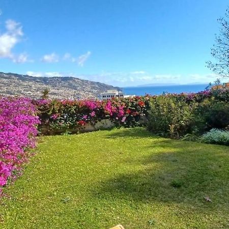 Belvedere Boutique - Adults Only Funchal  Bagian luar foto