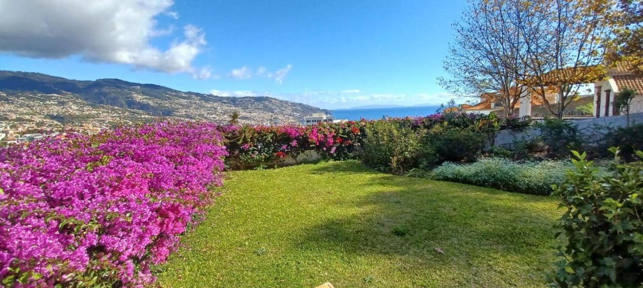 Belvedere Boutique - Adults Only Funchal  Bagian luar foto