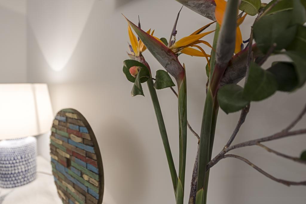 Belvedere Boutique - Adults Only Funchal  Bagian luar foto